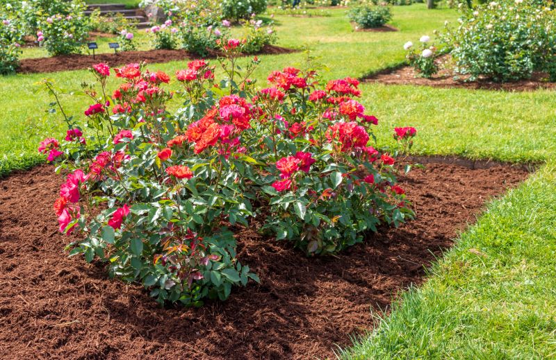 Flower Bed Cleanup Service