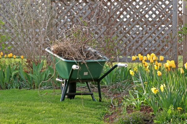 Flower Bed Cleanup Service in Englewood