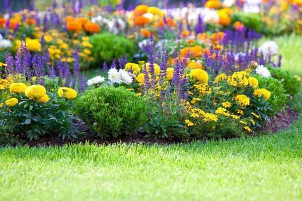 Flower Bed Maintenance in Englewood
