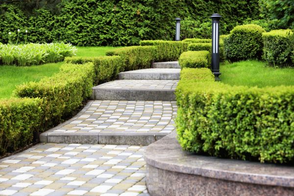 Backyard Remodeling in Englewood