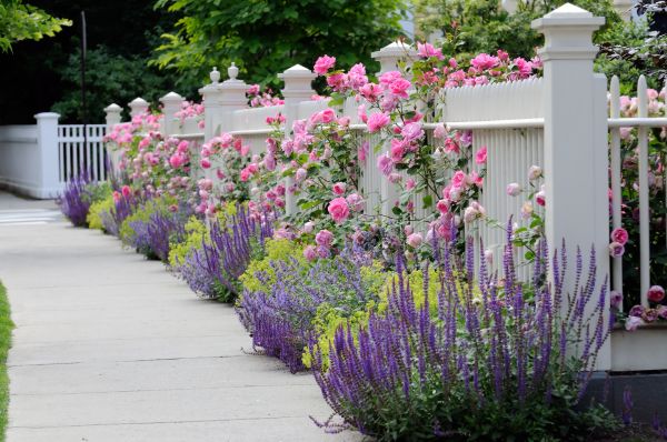Garden Handyman Service in Englewood
