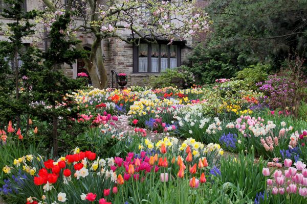 Garden Maintenance Service in Englewood