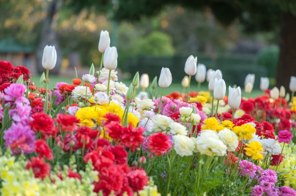 Gardening Service in Englewood