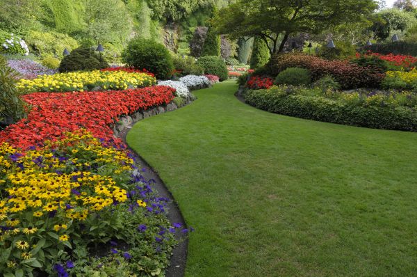 Landscaping Maintenance in Englewood