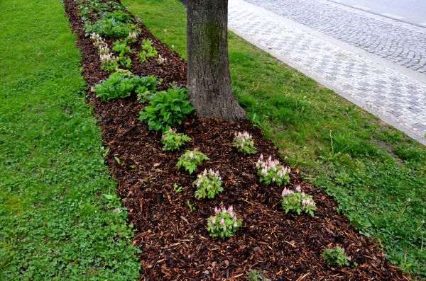 Mulch Replacement Service in Englewood