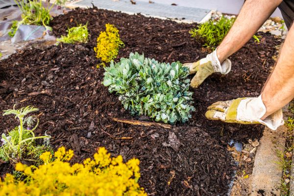 Weeding And Mulching in Englewood