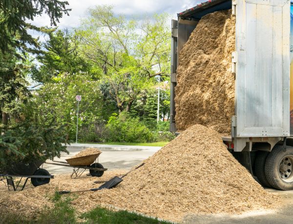 Wood Chips Delivery in Englewood