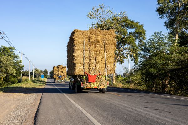 Pine Straw Delivery in Englewood