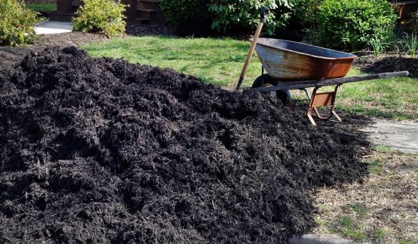 Black Mulch Delivery in Englewood