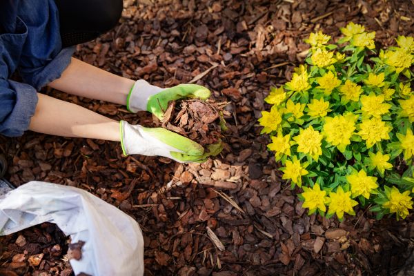 Garden Mulching in Englewood
