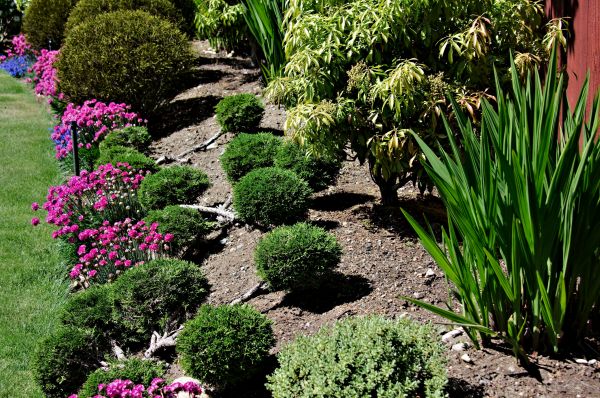Residential Gardening in Englewood