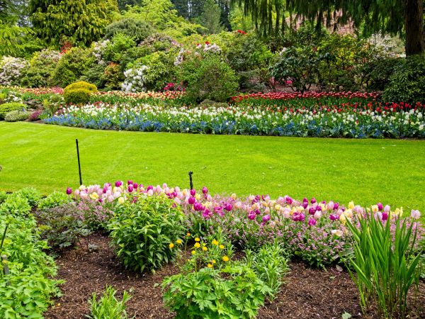 Residential Landscape Design in Englewood