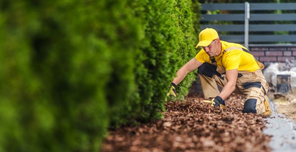 Cypress Mulch Installation in Englewood