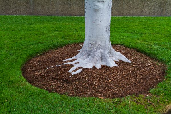 Brown Mulch Installation in Englewood