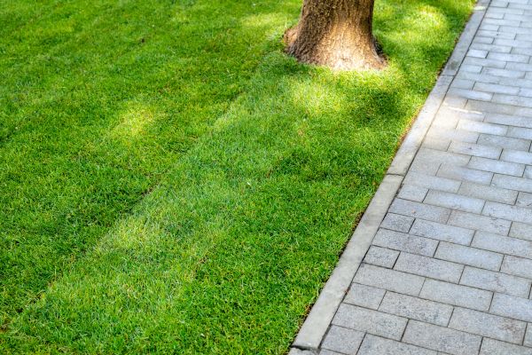 Border Stone Installation in Englewood