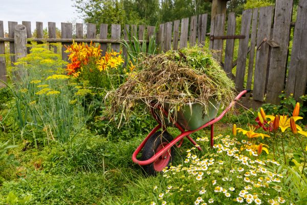 Garden Cleanup Service in Englewood