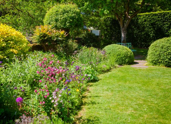 Yard Landscaping Service in Englewood