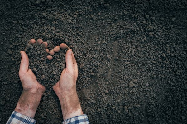 Soil Installation in Englewood