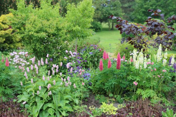 Flower Bed Planting in Englewood