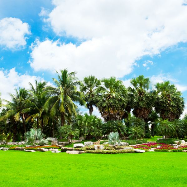 Tropical Landscaping in Englewood