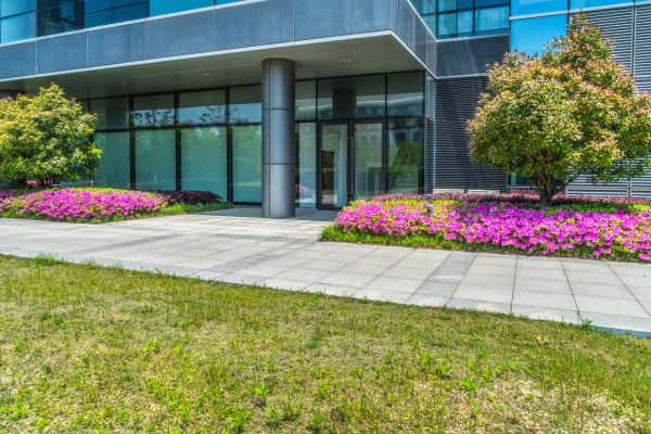 Commercial Gardening in Englewood