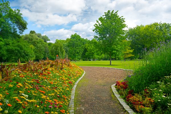 Park Landscaping in Englewood