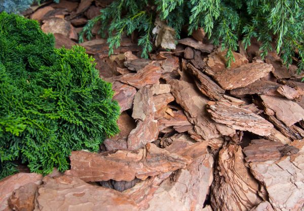 Pine Bark Installation in Englewood