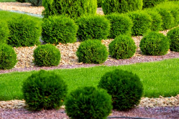 Bush Installation in Englewood
