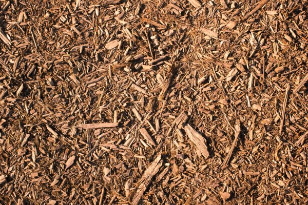 Wood Chips Removal in Englewood