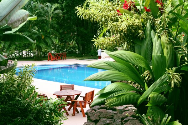 Pool Area Landscaping in Englewood