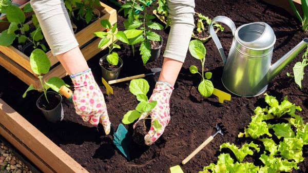 Garden Bed Installation in Englewood