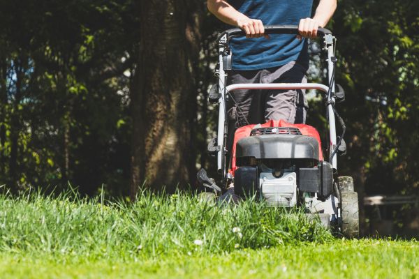 Garden Trimming Service in Englewood