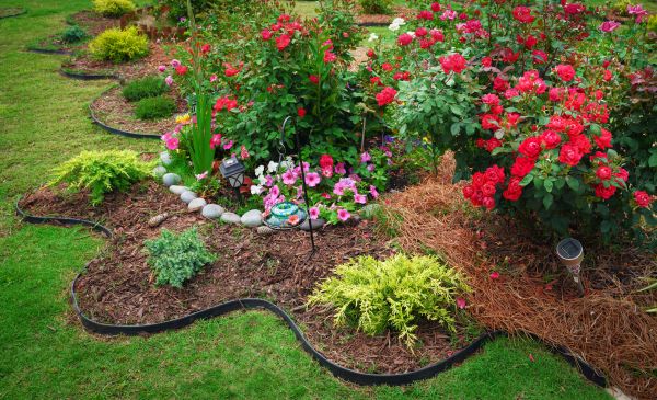 Floral Landscaping in Englewood