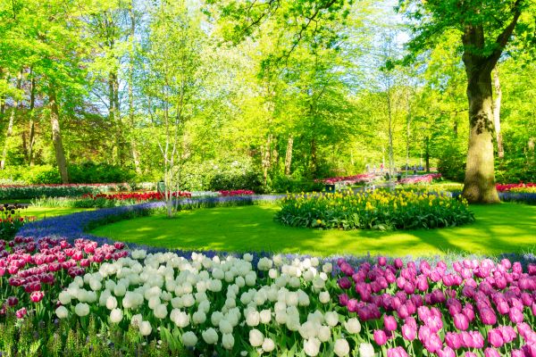 Flower Landscaping in Englewood