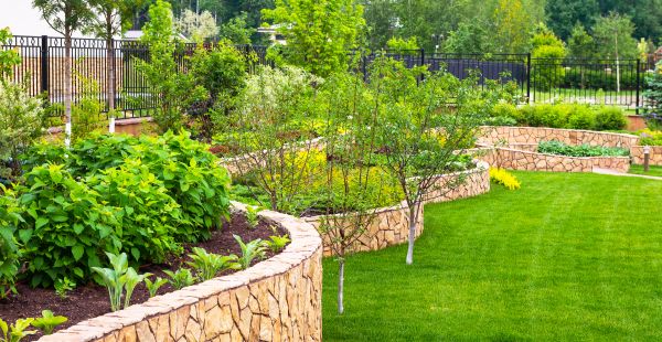 Yard Makeover Service in Englewood