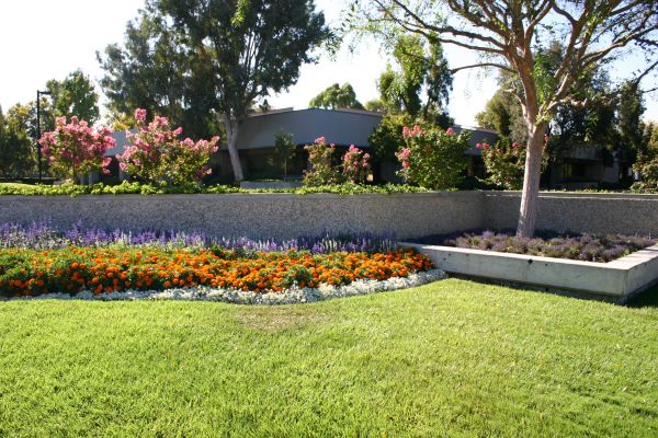 Commercial Landscape Service in Englewood