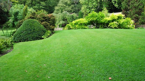 Commercial Landscape Design in Englewood