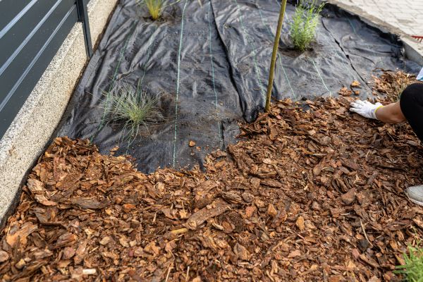 Pine Bark Spreading in Englewood