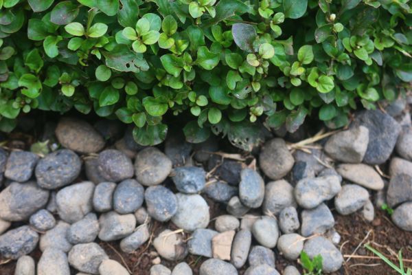 River Stone Installation in Englewood