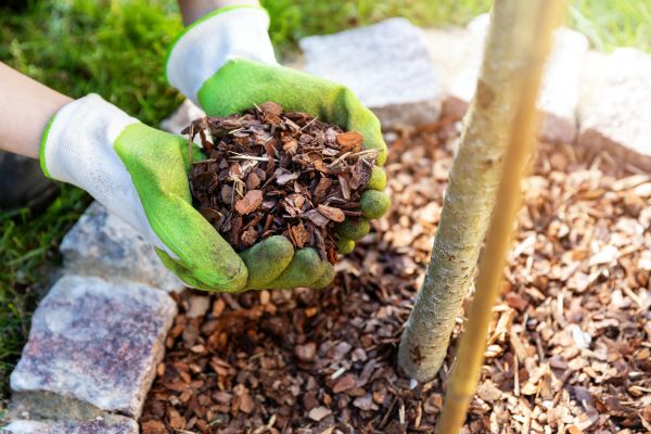 Tree Bark Delivery in Englewood
