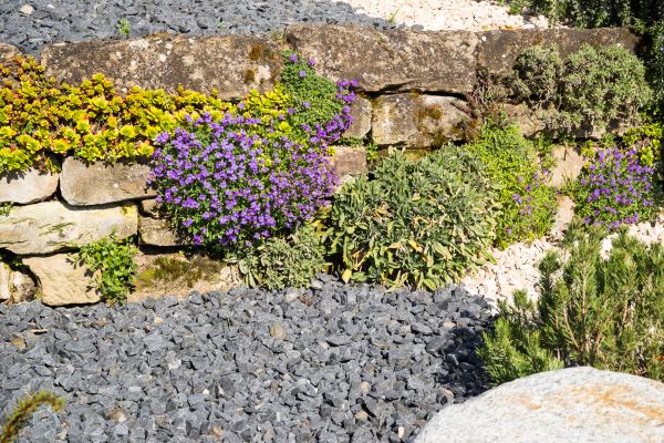 Landscaping Rocks Installation in Englewood