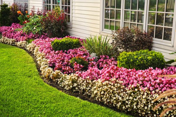 Garden Landscape Design in Englewood