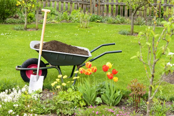Spring Yard Renovation in Englewood