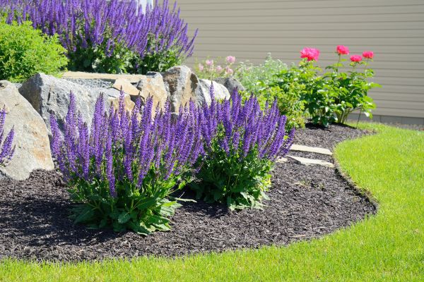 Landscape Planting Service in Englewood