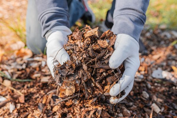 Shredded Mulch Installation in Englewood