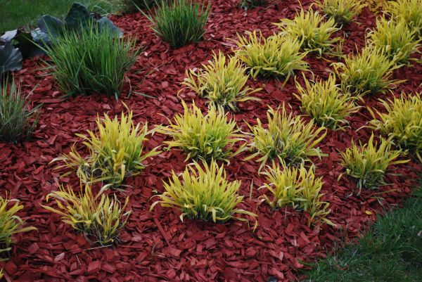Red Mulch Installation in Englewood