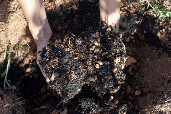 Organic Mulch Installation in Englewood