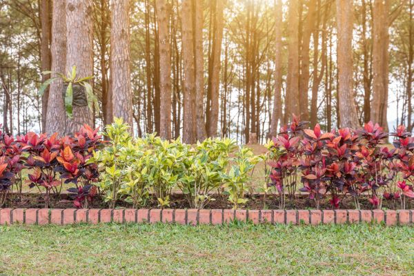 Small Garden Landscaping in Englewood