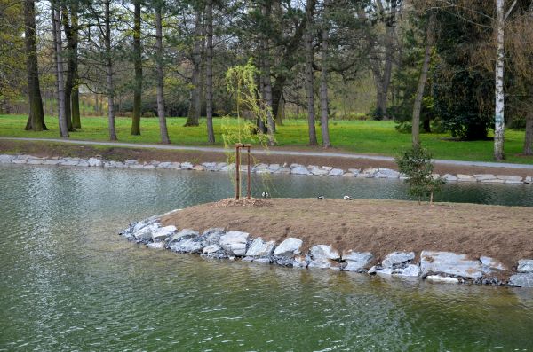 Pond Landscaping Service in Englewood
