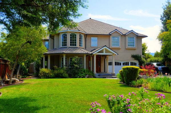 Large Yard Landscaping in Englewood
